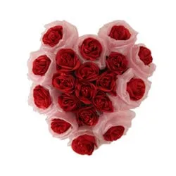 Cherished 19 Long Standing Red Roses in Shape of a Blissful Heart