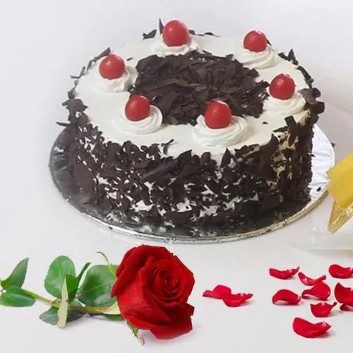 Online Black Forest Cake with Red Rose