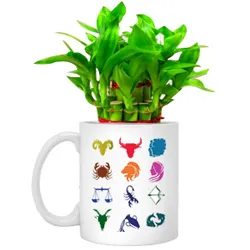 Deliver Lucky Bamboo Tree in Sunsign Mug