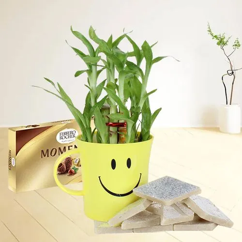 Lovely Gift of Ferrero Rocher N Sweets with Bamboo Plant in Smiley Mug 	