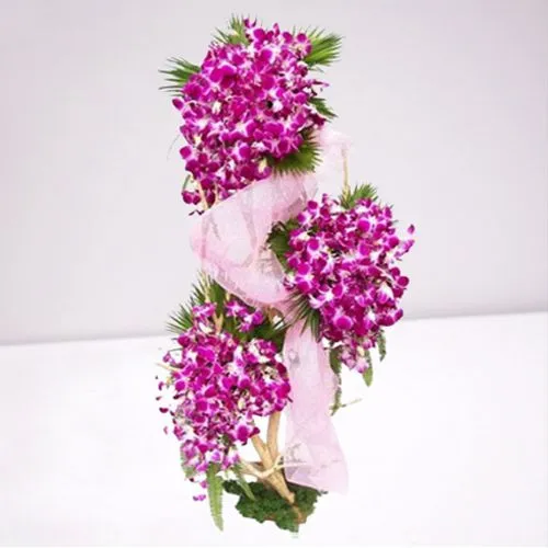 Breathtaking Tall Display of 100 Purple Orchids