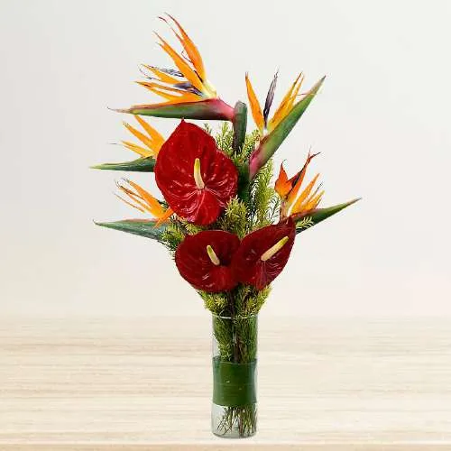 Wonderful Vase of Birds of Paradises n Red Anthurium