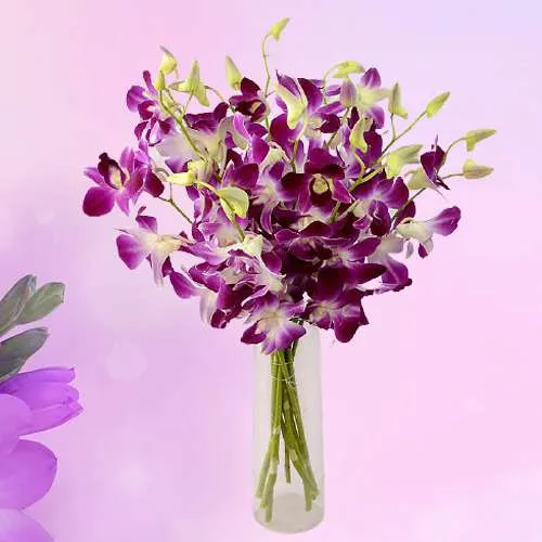 Splash of Love Purple Orchids in Vase