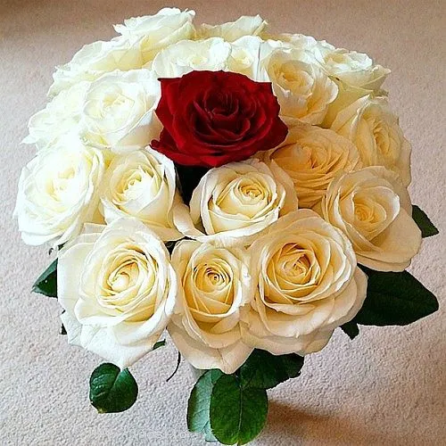 Cheerful Bouquet of White Roses with a Red Rose