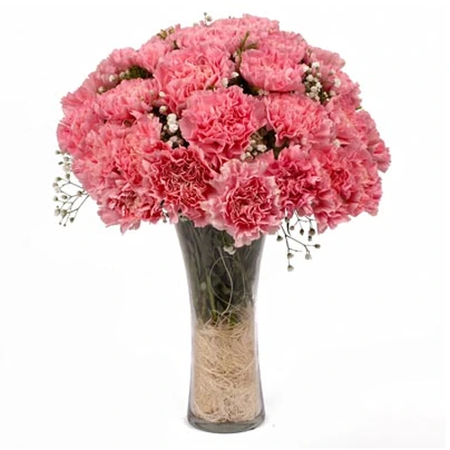 Delicate Vase Decked with 12 Carnations in Pink