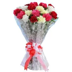 Fresh Carnations Gift Bunch in Mixed Colour