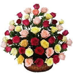 Buy Arrangement of Multi-Coloured Roses