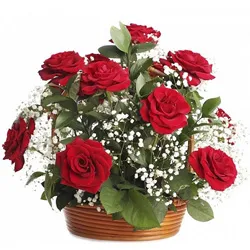 Sending Arrangement of Red Roses for Birthday