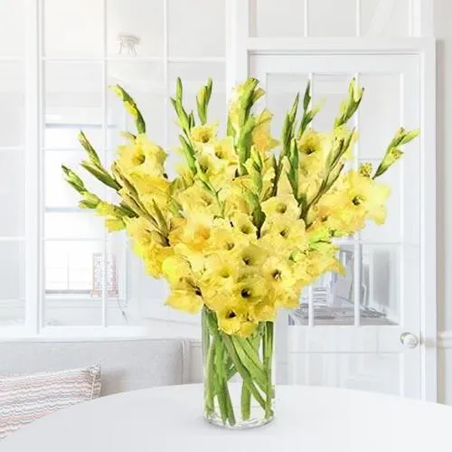 Wonderful Yellow Gladiolus in a Glass Vase