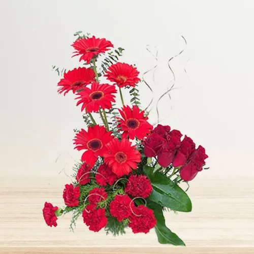 Radiant assemble of Red Carnations, Roses & Gerberas