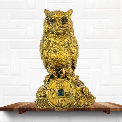 Feng Shui Owl Showpiece for Money n Wisdom