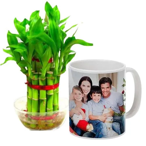 Buy Personalized Coffee Mug with Two Tier Bamboo Plant