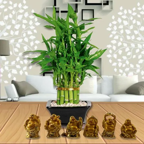 Good Luck Charm 2 Tier Bamboo Plant N Laughing Buddha Set