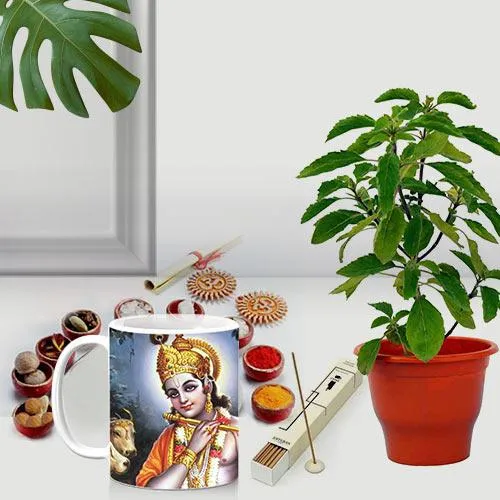 Auspicious Present of Holy Plant with Luxury Puja Items