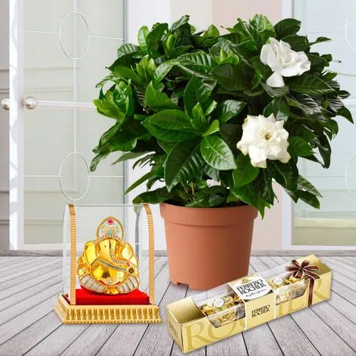 Colorful Jasmine Plant Gift with Lord Ganesha N Chocolates
