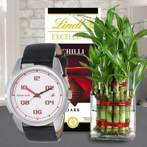Splendid Bamboo Plant with Fastrack Watch N Lindt Chocolate