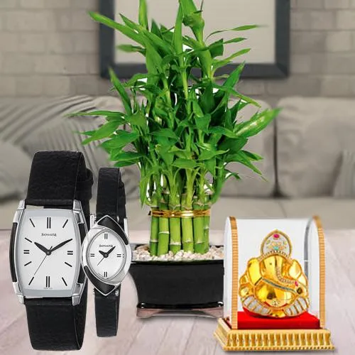 Lucky Bamboo Plant, Sonata Analog Watch N Vignesh Ganesh