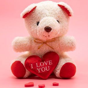 Teddy Day Gifts to Bangalore